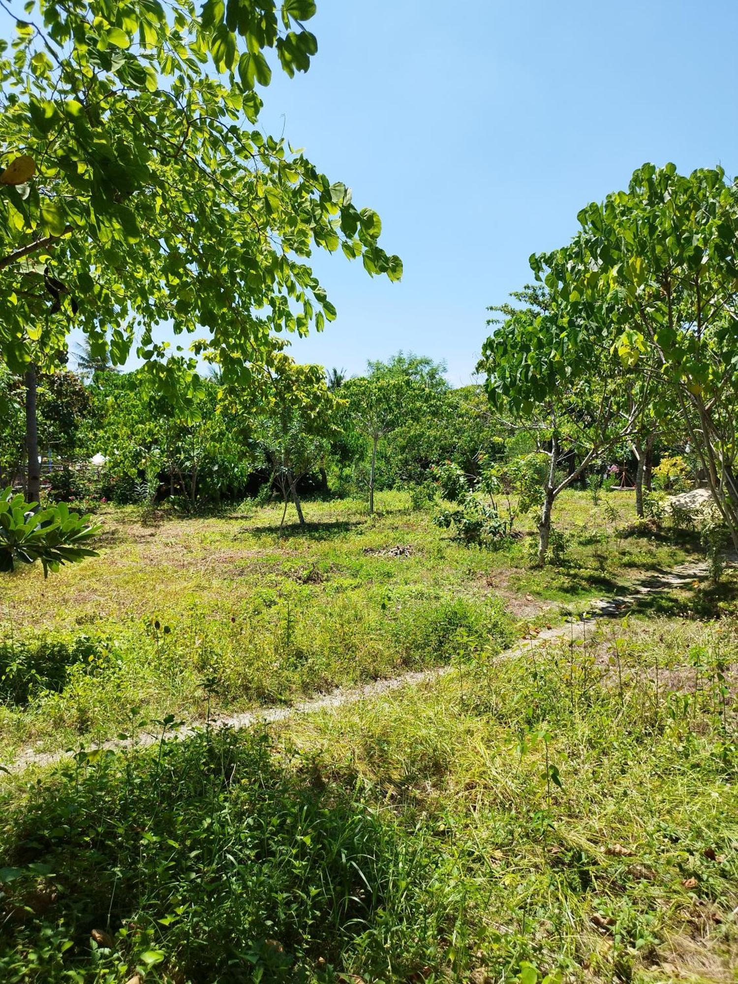 Celtis Resort Malapascua Buitenkant foto