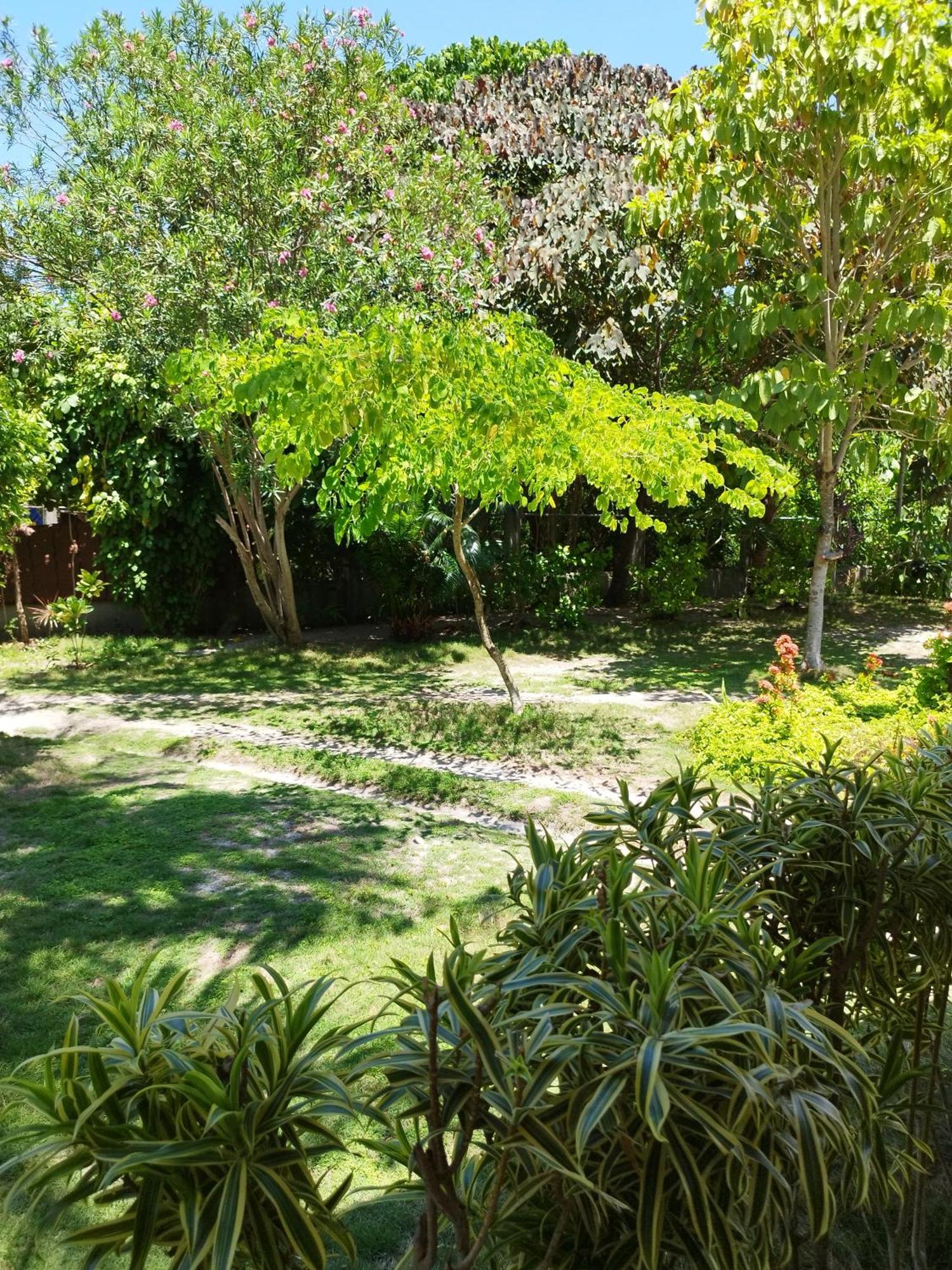 Celtis Resort Malapascua Buitenkant foto