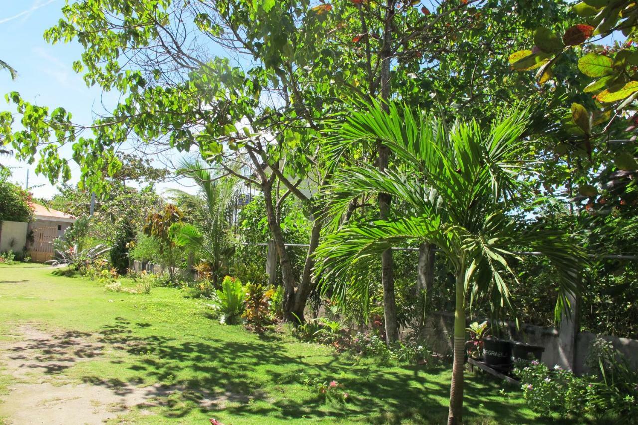 Celtis Resort Malapascua Buitenkant foto